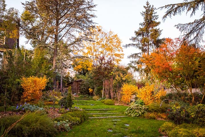 Opus Paysage-Paysagiste-Un jardin paysager en pente douce-Jardin - photo 1