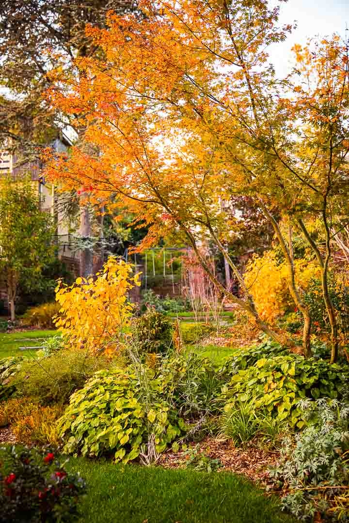 Opus Paysage-Paysagiste-Un jardin paysager en pente douce-Jardin - photo 2