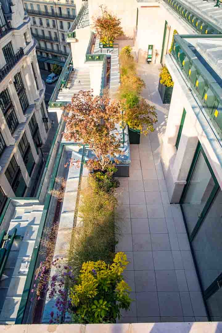 Opus Paysage-Paysagiste-Conception paysagère des terrasses du siège de Guerlain à Paris-Terrasse - photo 1