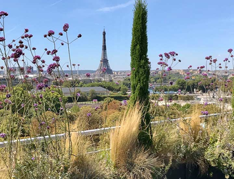 Horticulture et Jardins-Paysagiste-Les créations paysagères de Jardins, Jardin